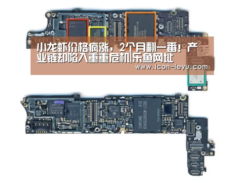 小龙虾价格疯涨，2个月翻一番！产业链却陷入重重危机|乐鱼网址
