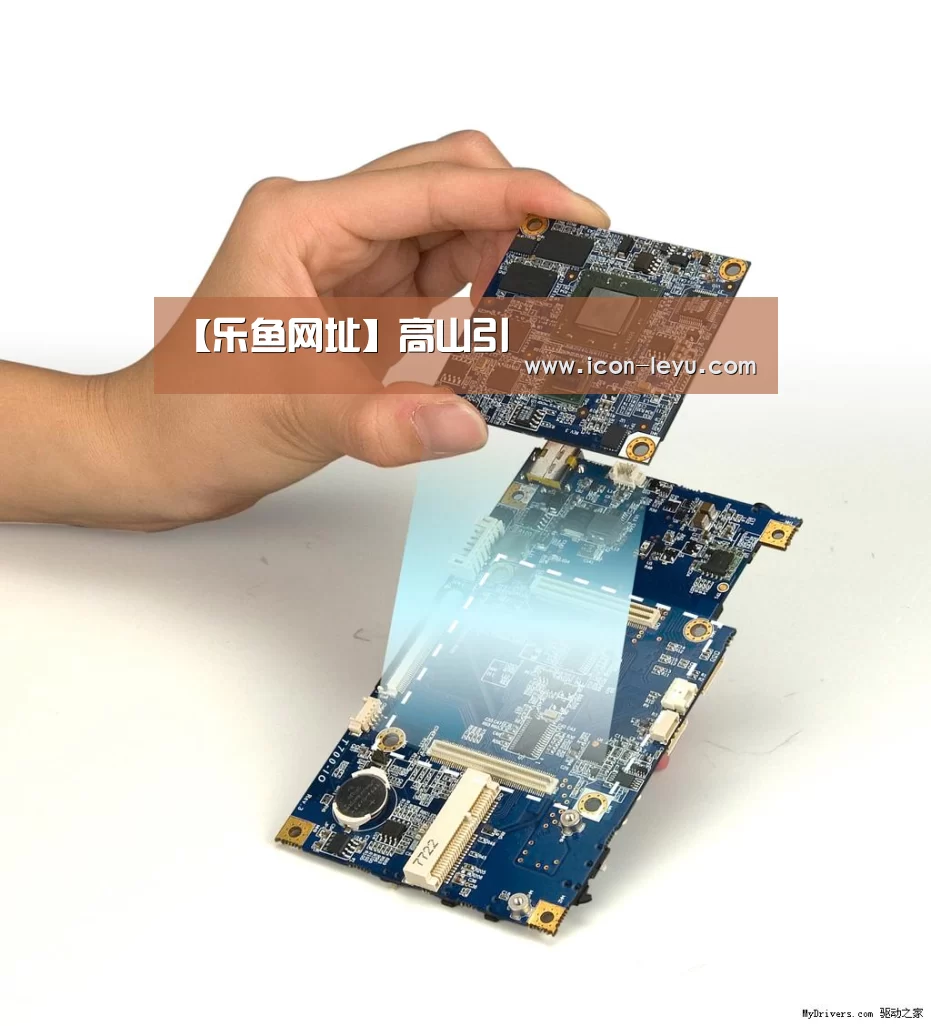 【乐鱼网址】高山引(图4) 乐鱼网址