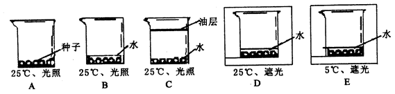 乐鱼网址-超级奶爸全国一家互联网轻餐饮加盟品牌